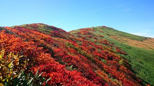 仙ノ倉山東面