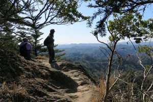 高宕山の山頂手前