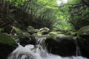 涼しげな渓流