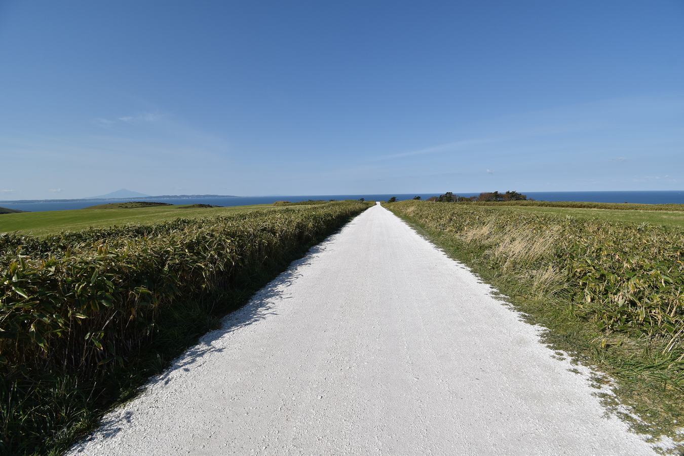 ウッドクラフト