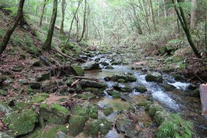 大分岩は小さくなってきたところ