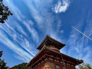 成田山新勝寺の平和大塔