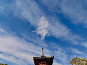 平和大塔４、成田山新勝寺、写真、龍雲