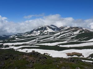 裏旭岳・ゼブラ