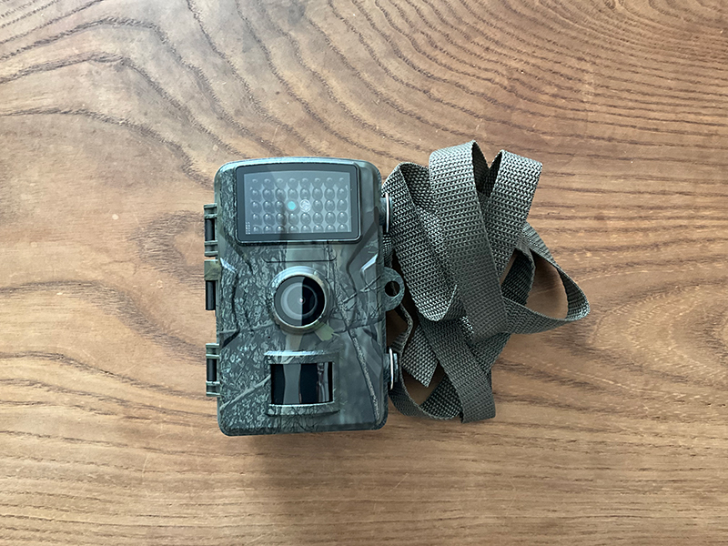 トレイルカメラ